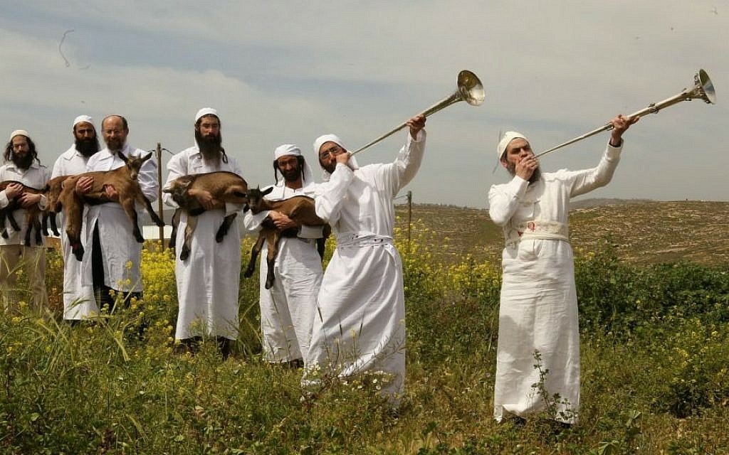 cohanim-1024x6401398883853.jpg